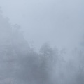 Fog and rain10.jpg